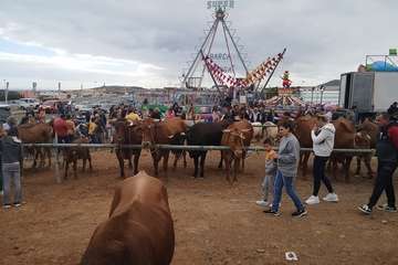 Los Llanos celebra el día grande de sus fiestas (Foto TA)